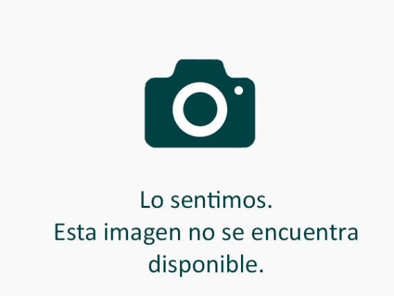 el_img1